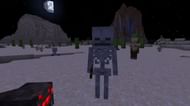 Image via Minecraft